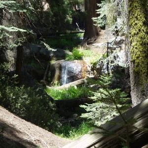 Meet your Posher, Edith